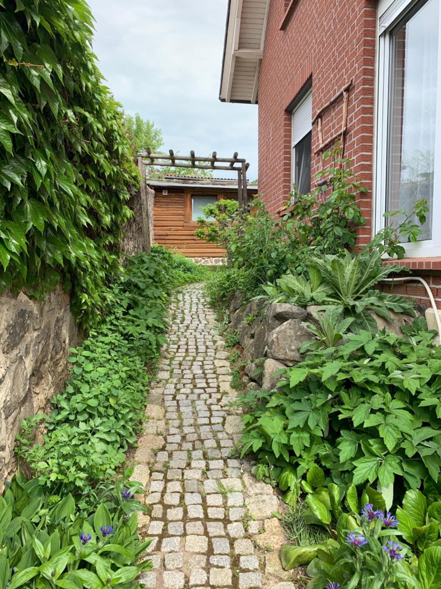Blockhausvermietung "Vor Dem Groeperntor" Кведлинбург Экстерьер фото